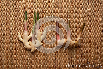 Ginger and Galangal roots on brown wallpaper showing texture of weave dried water hyacinth placemat. Stock Photo