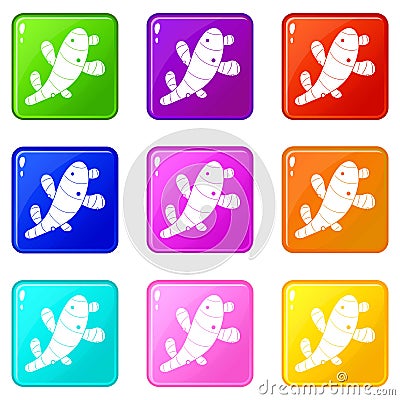 Ginger icons 9 set Vector Illustration