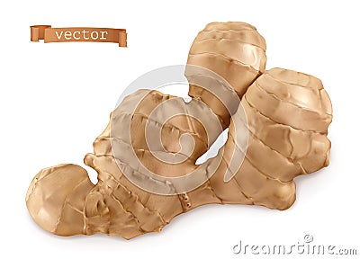 Ginger root. 3d realistic vector Vector Illustration