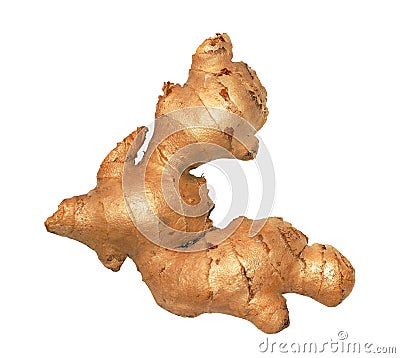 Ginger root / rhizome Stock Photo