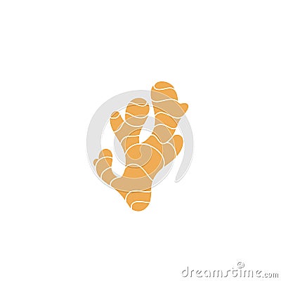 Ginger root Vector Illustration