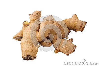 Ginger roots Stock Photo