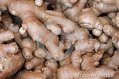 ginger roots grown in the chinese soil Stock Photo