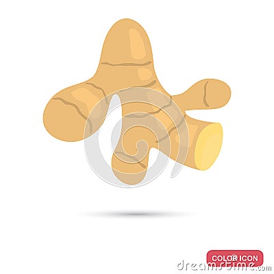 Ginger spice color flat icon Vector Illustration