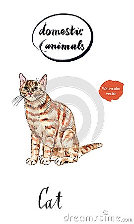 Ginger tabby cat Vector Illustration