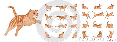 Ginger Tabby Cat set Vector Illustration