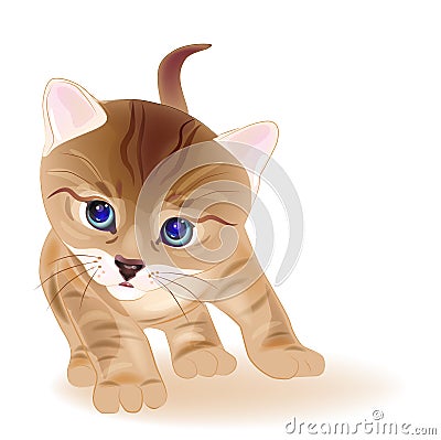 ginger tabby kitten Vector Illustration