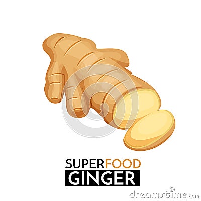 Ginger vector icon. Vector Illustration