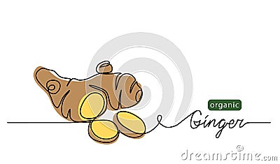 Ginger vector illustration. One line drawing art illustration with lettering organic ginger Vector Illustration