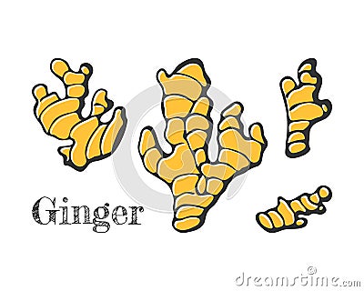 Gingers set doodle hand drawn. Isolated, white background. Vector Illustration