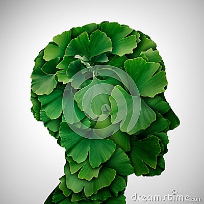 Ginkgo Biloba leaf Head Stock Photo