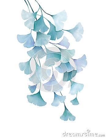 Ginkgo biloba watercolor green leaves floral drawing isolated on white background Cartoon Illustration