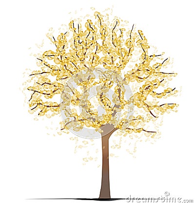 Ginkgo Tree Vector Illustration