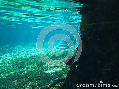 Ginnie Springs Stock Photo