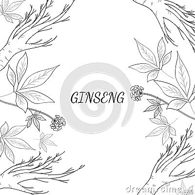 Ginseng background 3 Vector Illustration