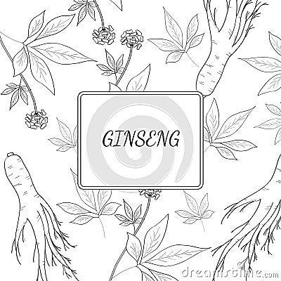 Ginseng background 2 Vector Illustration