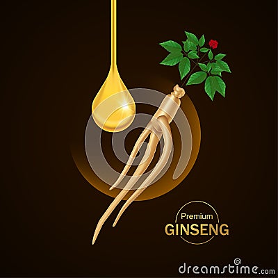 Ginseng for good health elegant vector illustration. Vector Illustration