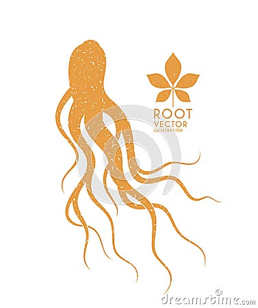 Ginseng Vector Illustration