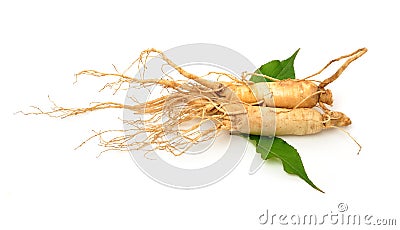 Ginseng Stock Photo