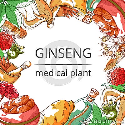 Ginseng medical plant frame background Vector Illustration