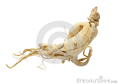 Ginseng root Stock Photo