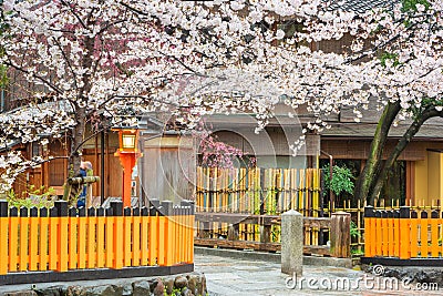 Gion Shirakawa, Kyoto, Japan in Spring Stock Photo