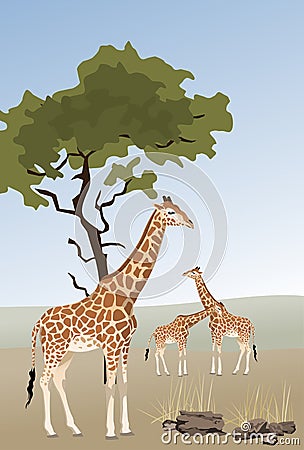 Giraffe Vector Illustration