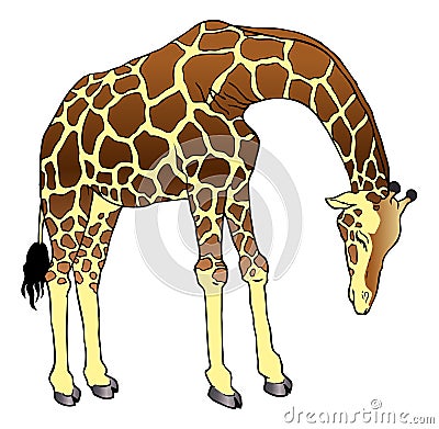 Giraffe Vector Illustration