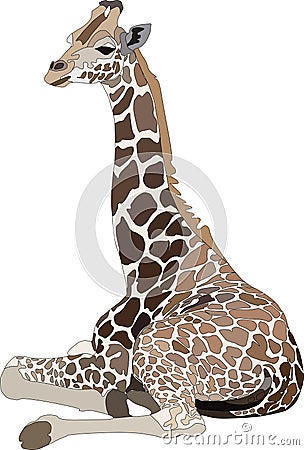 Giraffe Vector Illustration