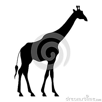 Giraffe black vector icon on white background Vector Illustration