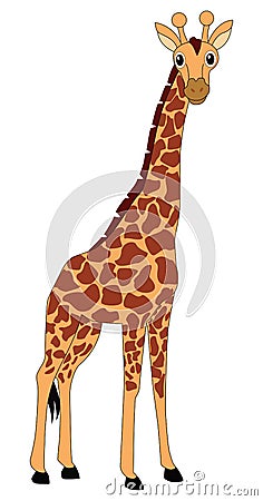 Giraffe Vector Illustration