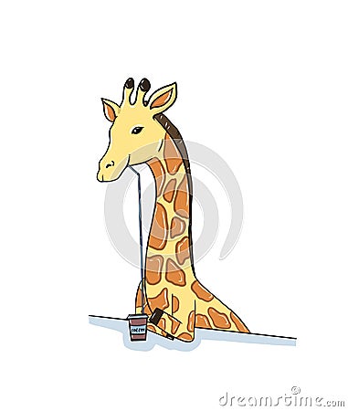 Giraffe drink coffee Stock Photo