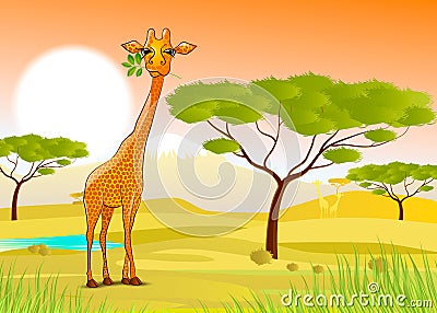 Giraffe eating leaves in Africa at sunset Cartoon Illustration