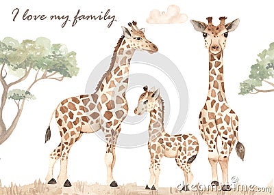Watercolor card with giraffe family, mom, dad, kid, illustration, safari, savanna Cartoon Illustration