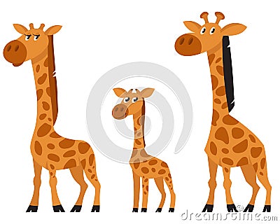 Giraffe family three quarter view Vector Illustration