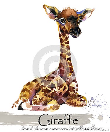 Giraffe hand drawn watercolor illustration Cartoon Illustration