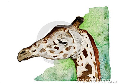 Giraffe head Cartoon Illustration