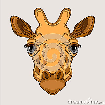 Giraffe head face realistic Vector Illustration