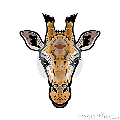 Giraffe Head Vector Illustration