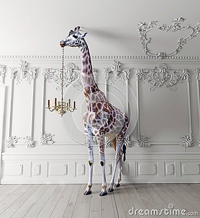 The giraffe hold the chandelier Stock Photo