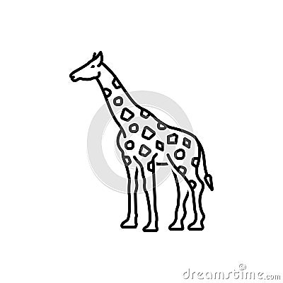 Black line icon for Giraffe, tall and mammal Vector Illustration
