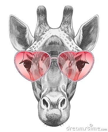 Giraffe in Love! Portrait of Giraffe with sunglasses. Cartoon Illustration