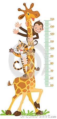 Giraffe, monkey, tiger. Meter wall or height chart Vector Illustration