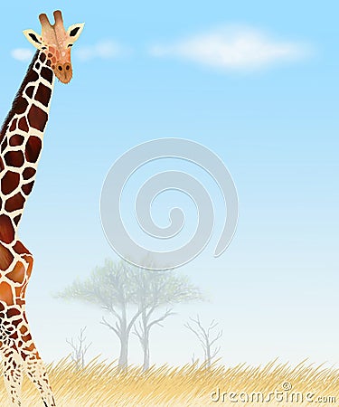 Giraffe Postcard and Paper Note Stock Photo