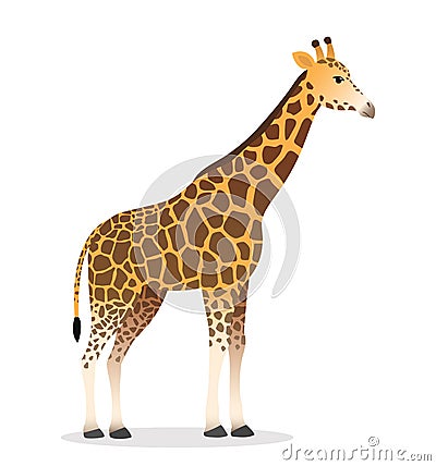 Giraffe realistic african animal wildlife vector illustration icon isolated on white vector Vector Illustration