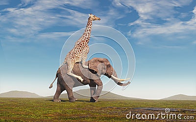 Giraffe riding an elephant on field. F Cartoon Illustration