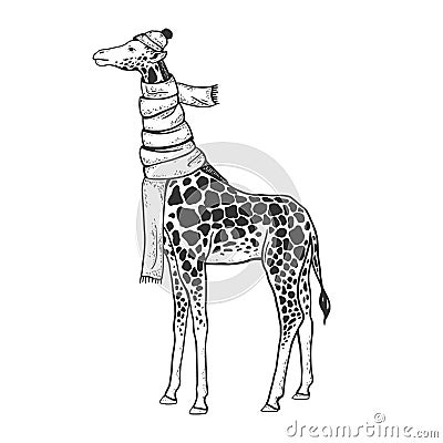 Giraffe in scarf and hat sketch vector Vector Illustration