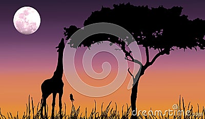 Giraffe silhouette in purple sunset Stock Photo