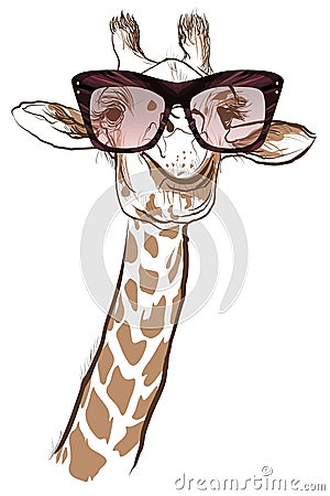 Giraffe with sunglasses Vector Illustration