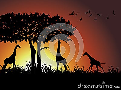 Giraffe ,tree and bird silhouetted against a dram Stock Photo